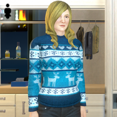 Winter Sweater - Female